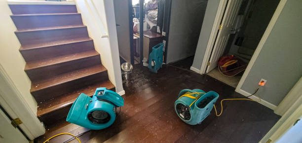 Best Water damage contractors near me  in Davenport, FL