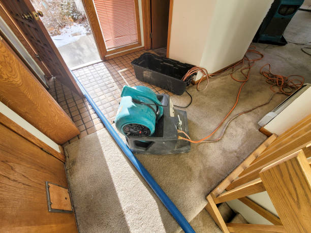 24/7 water damage repair in Davenport, FL