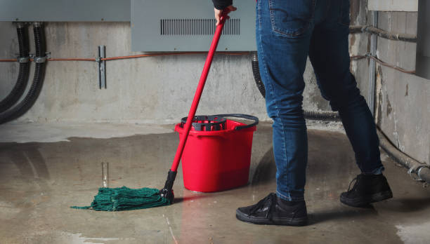 Best Fire Damage Restoration  in Davenport, FL