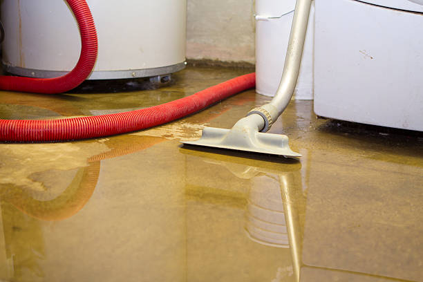 Professional Water damage restoration in Davenport, FL