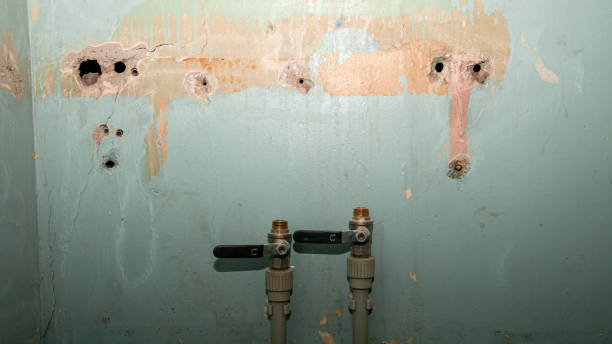 Best Water damage contractors near me  in Davenport, FL